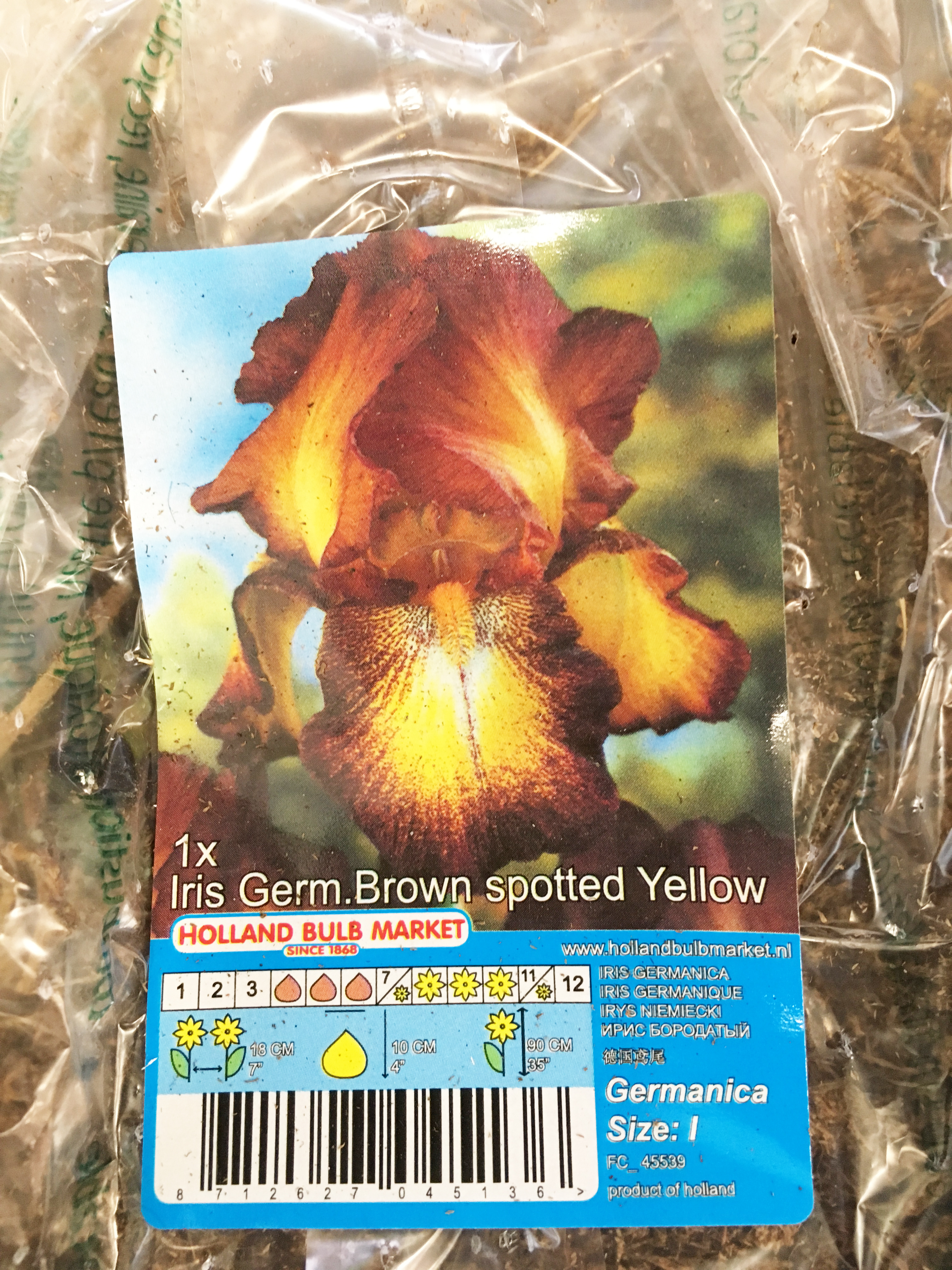 (2058)Клубень Ирис Споттер Йеллоу (Brown Spotted Yellow)  